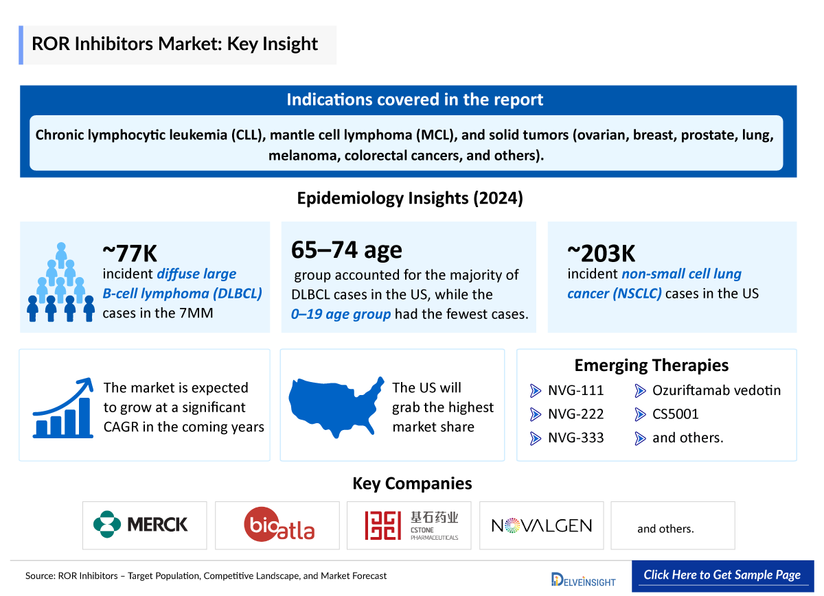 ROR Inhibitors