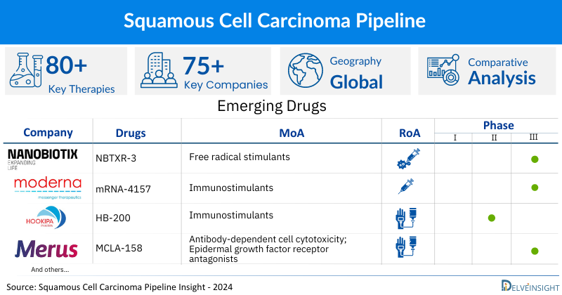 Squamous Cell Carcinoma Insight