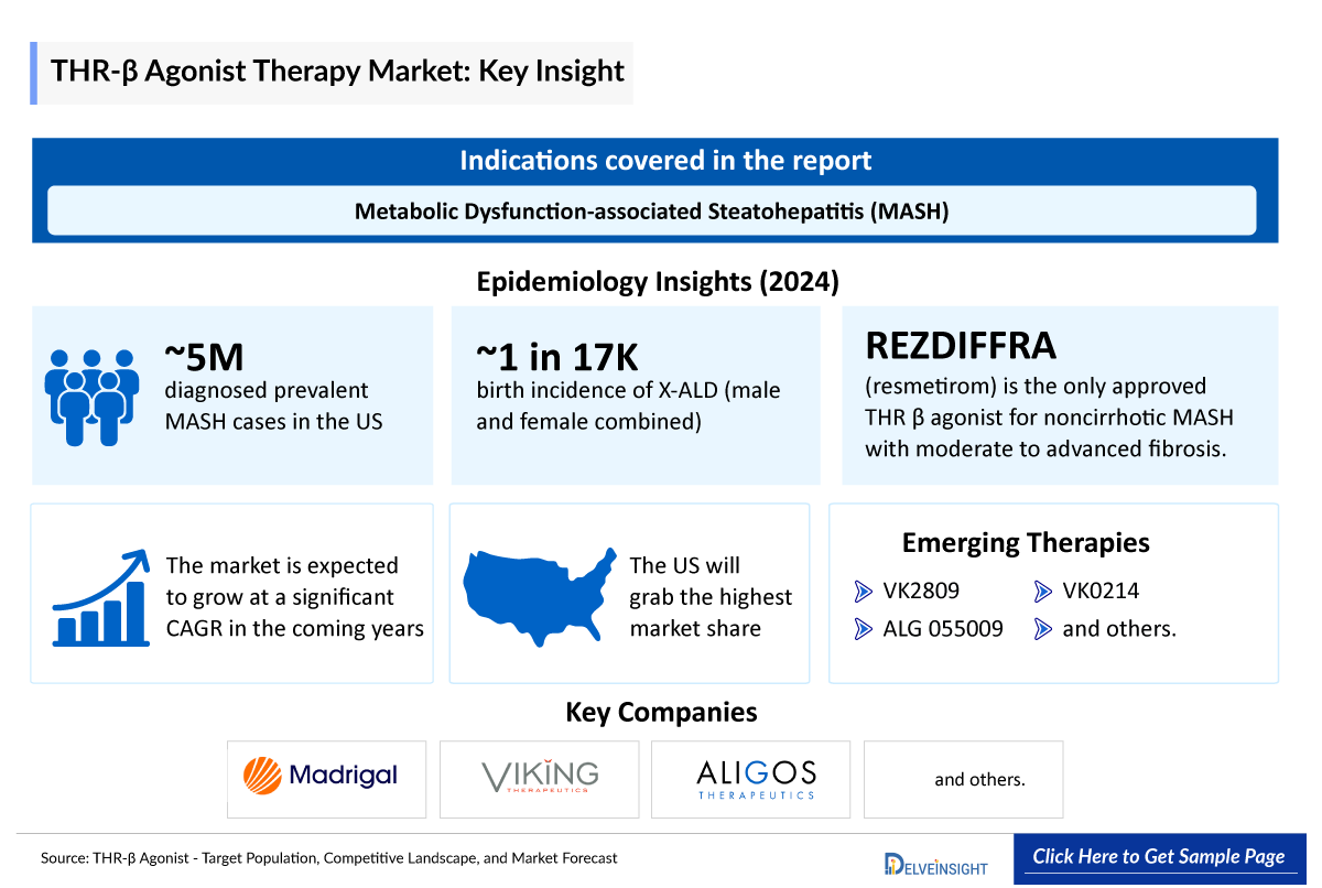 THR-β Agonist Market