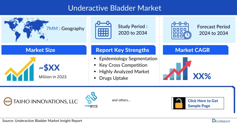 Underactive Bladder Market Insights