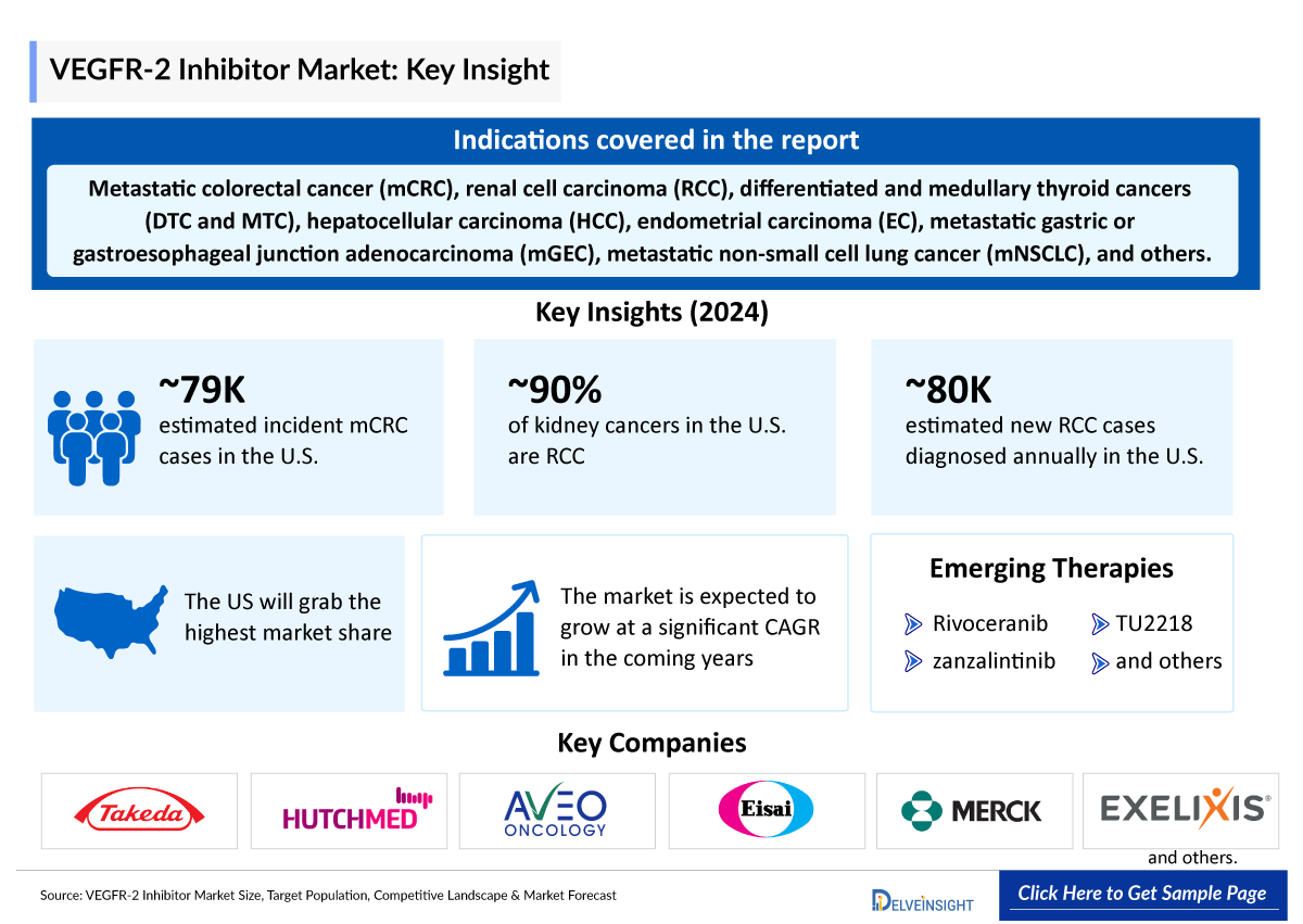 VEGFR-2 Inhibitor Market