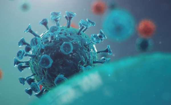 Covid-19 A pneumonia-associated pandemic viral outbreak whitepaper