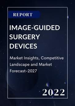 Image-Guided Surgery Devices
