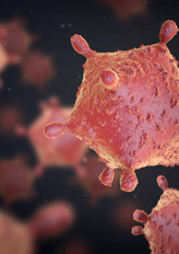 B Cell Chronic Lymphocytic Leukemia - Market Insight, Epidemiology And Market Forecast - 2032