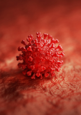B Cell Chronic Lymphocytic Leukemia - Market Insight, Epidemiology And Market Forecast - 2032