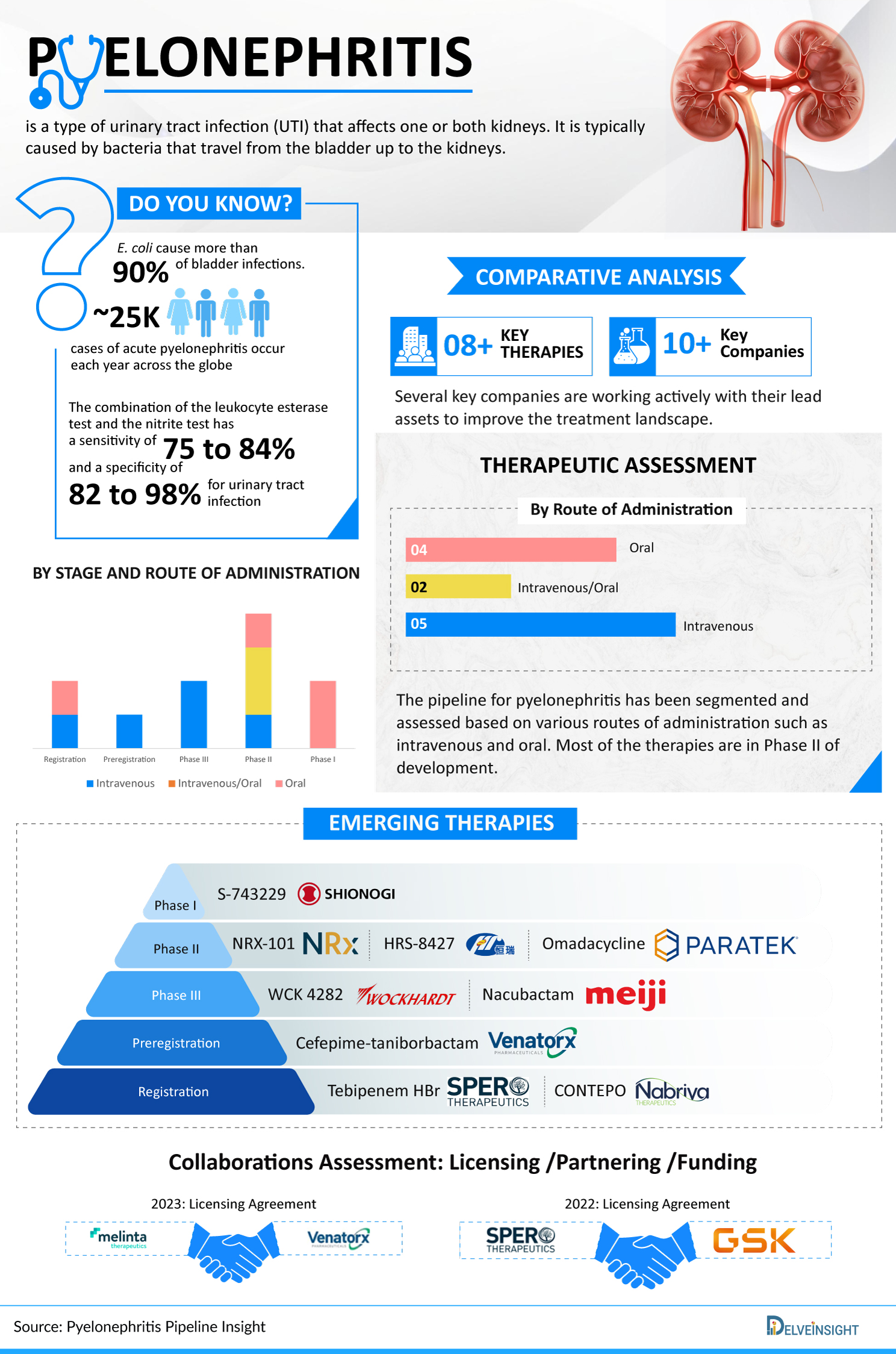 Pyelonephritis Pipeline Infographic