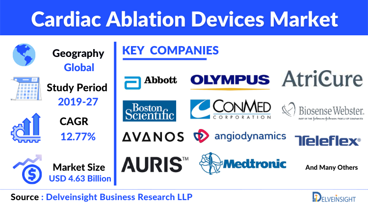 Cardiac Ablation Devices Market