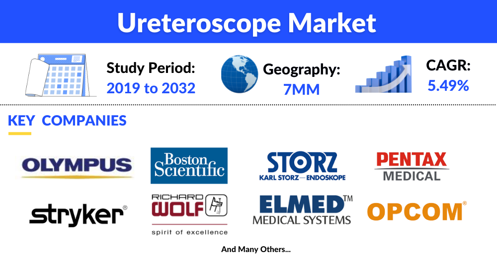 Ureteroscope market