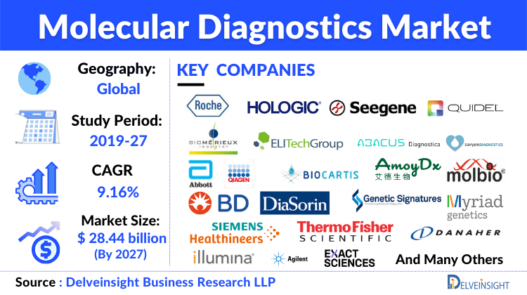 Molecular Diagnostic Market Analysis