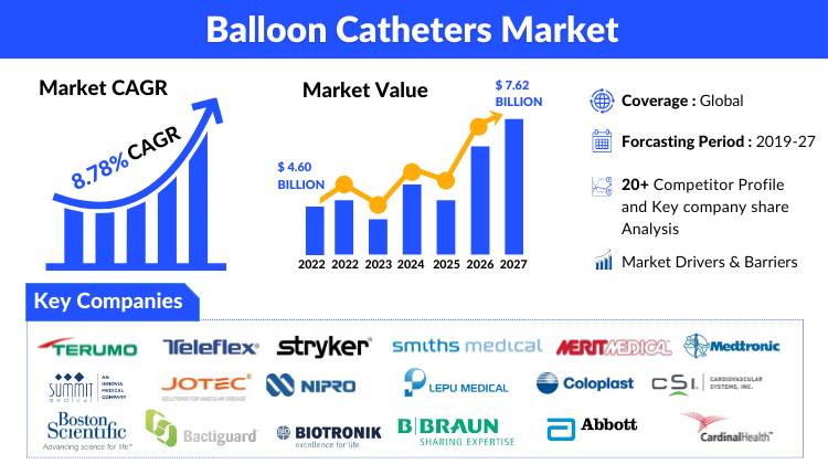Balloon Catheters Market