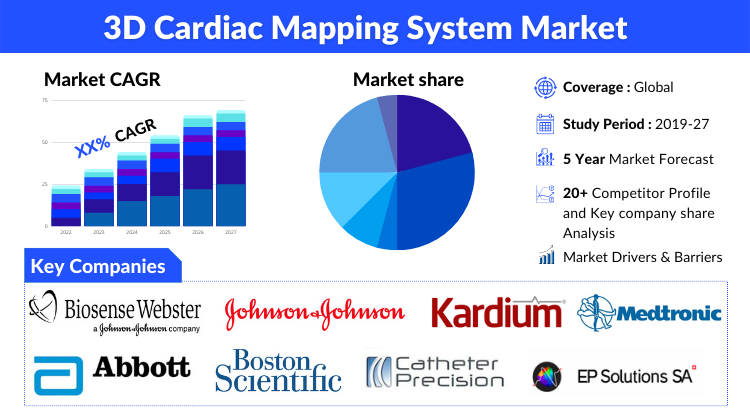 3D Cardiac Mapping System Market Report