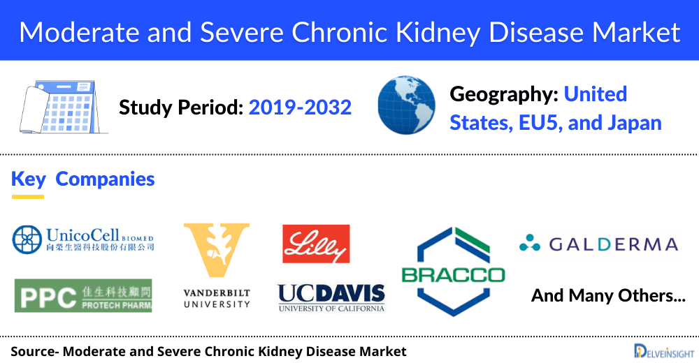 Moderate And Severe Chronic Kidney Disease Market