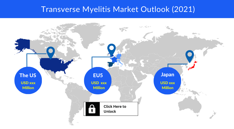 Transverse Myelitis market