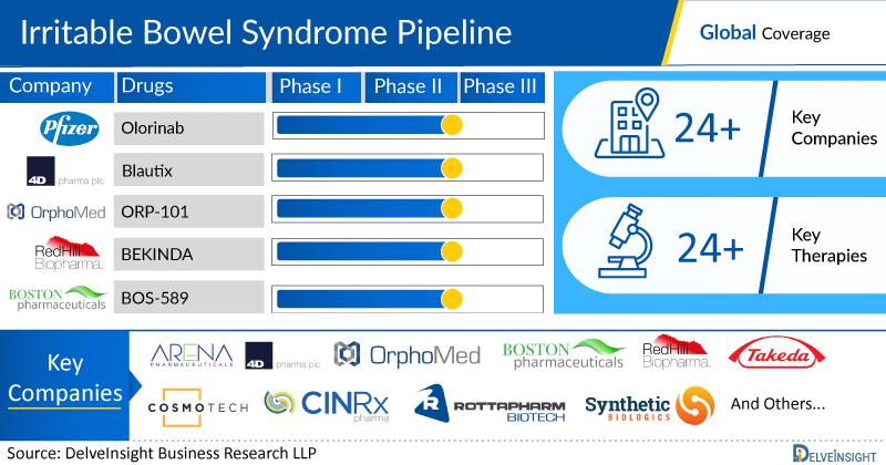 Irritable Bowel Syndrome (IBS) - Pipeline Insight and Analysis