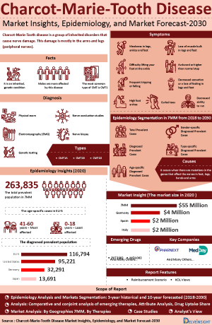 Charcot-Marie-Tooth Disease Market Size and Share Infographic