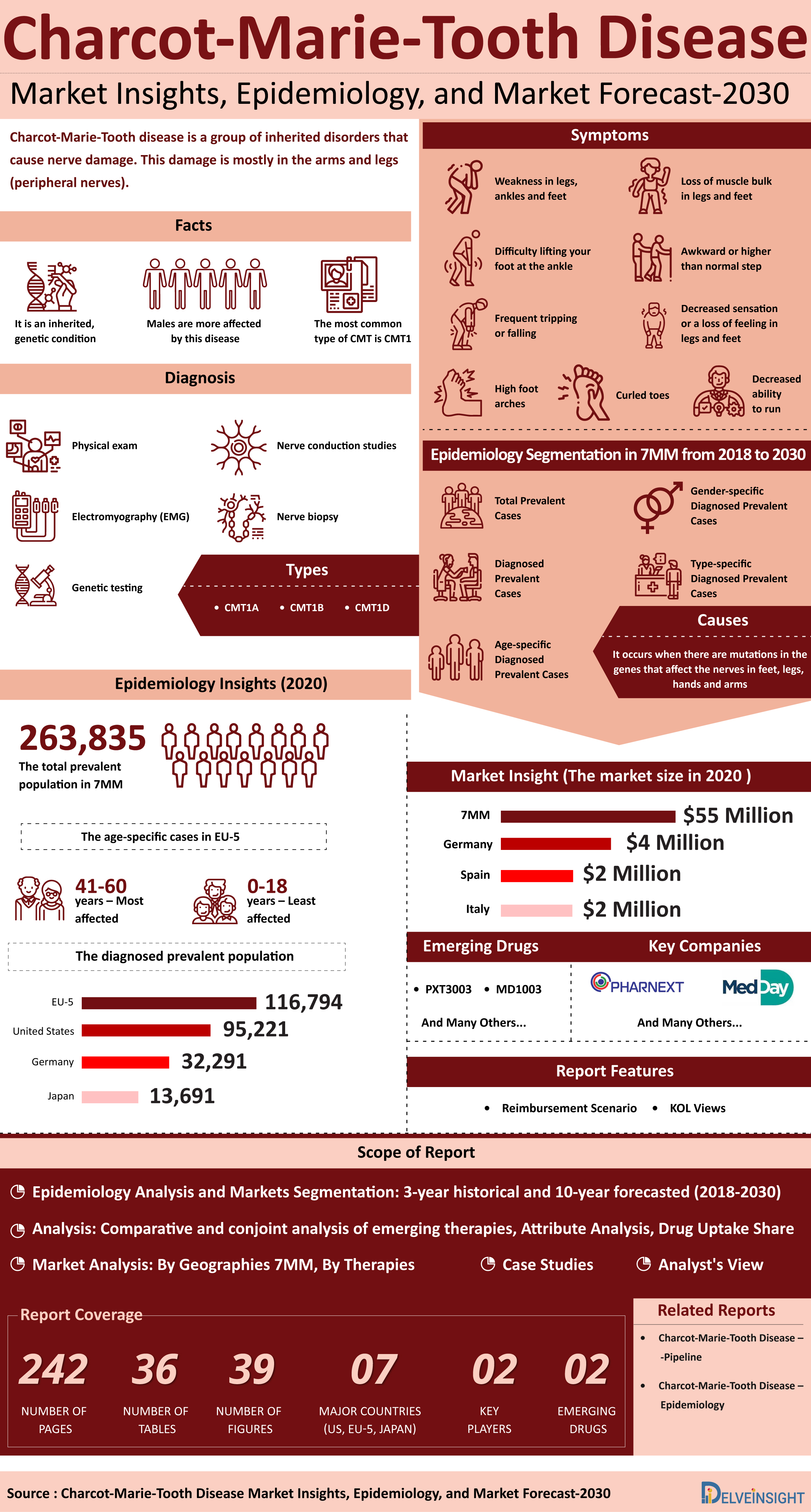 Charcot-Marie-Tooth Disease Market Infographic